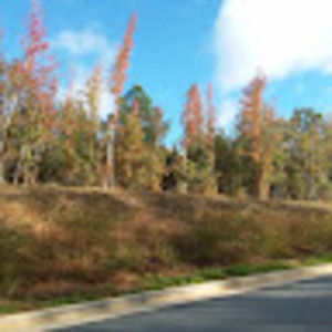 Meet your Posher, Marcia